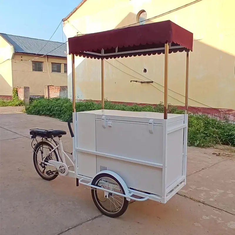Klassisk Pedal Ice Cream Cart Bike